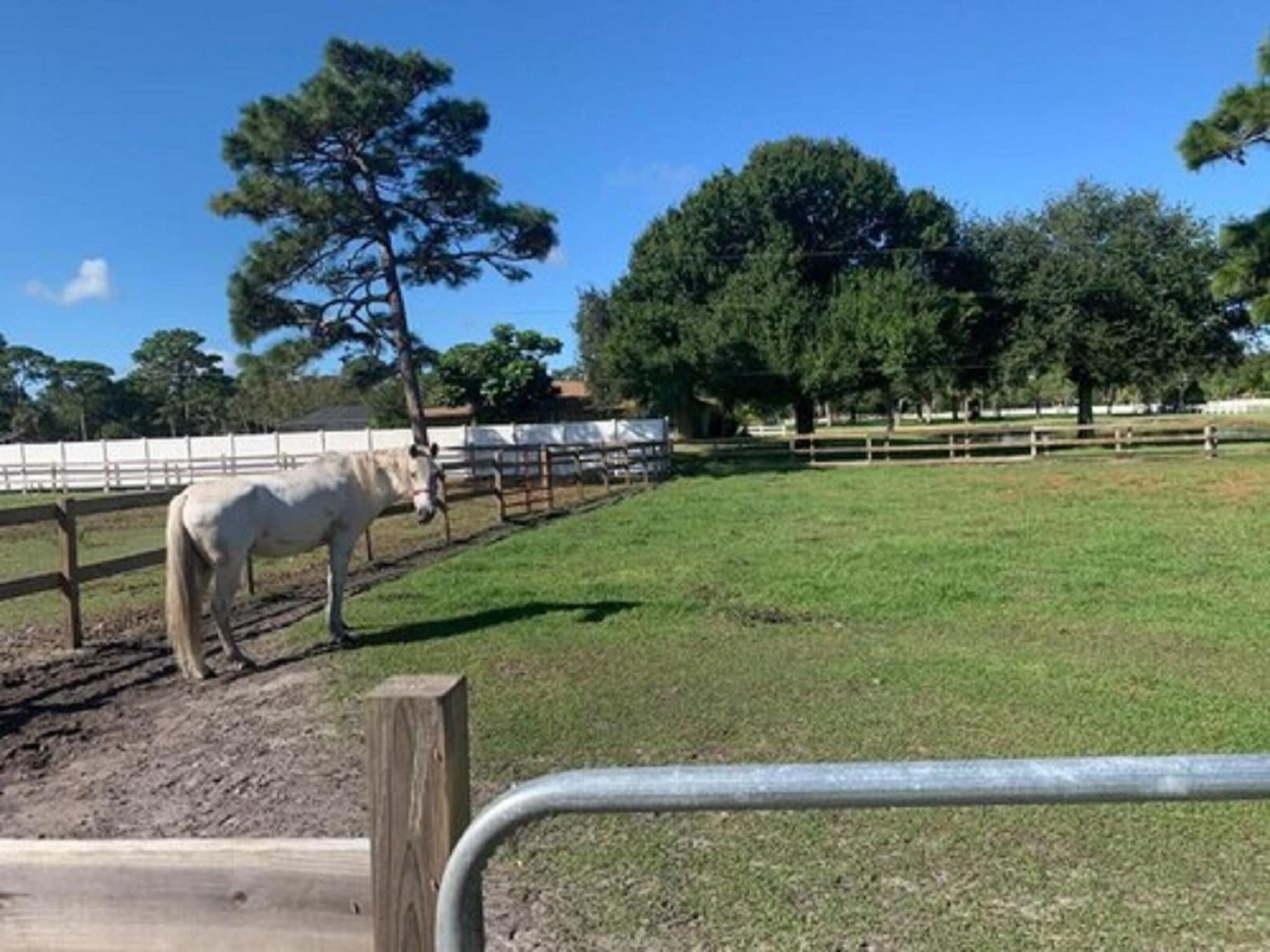 Oyo Family Ranch At Melbourne Fl Hotel Exterior photo